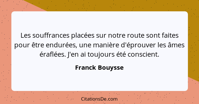 Les souffrances placées sur notre route sont faites pour être endurées, une manière d'éprouver les âmes éraflées. J'en ai toujours ét... - Franck Bouysse