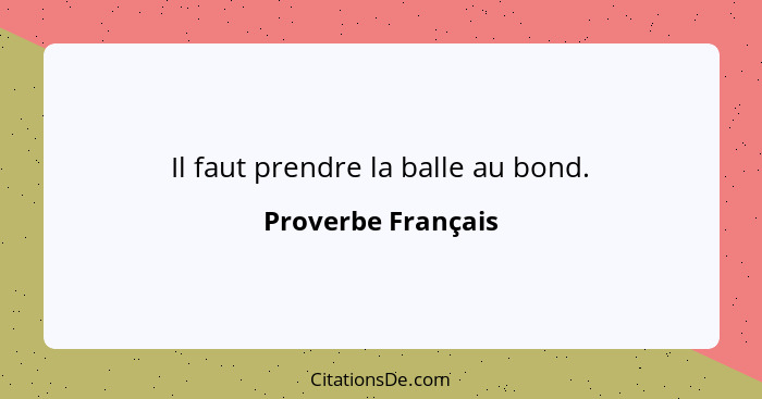 Il faut prendre la balle au bond.... - Proverbe Français