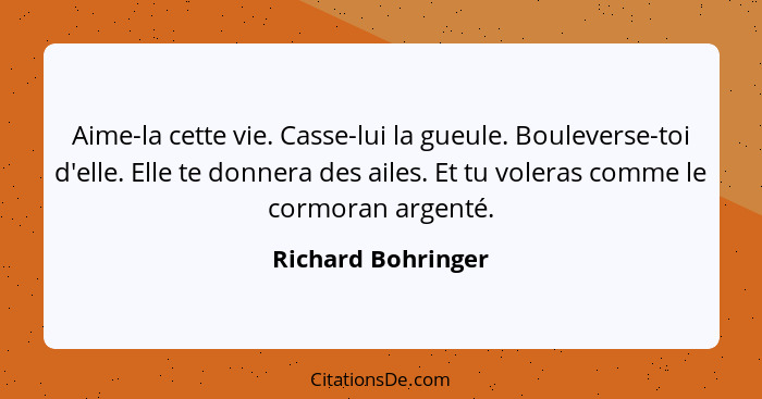 Aime-la cette vie. Casse-lui la gueule. Bouleverse-toi d'elle. Elle te donnera des ailes. Et tu voleras comme le cormoran argenté.... - Richard Bohringer