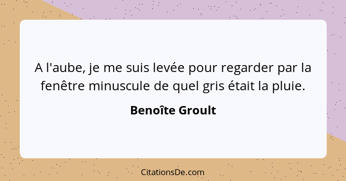 A l'aube, je me suis levée pour regarder par la fenêtre minuscule de quel gris était la pluie.... - Benoîte Groult