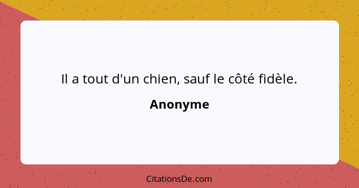 Il a tout d'un chien, sauf le côté fidèle.... - Anonyme