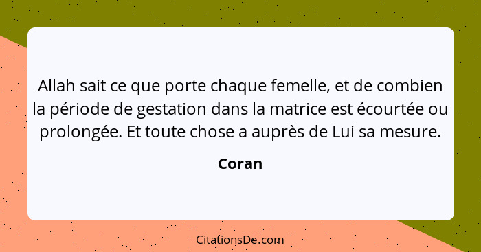 Allah sait ce que porte chaque femelle, et de combien la période de gestation dans la matrice est écourtée ou prolongée. Et toute chose a aupr... - Coran