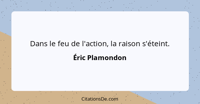 Dans le feu de l'action, la raison s'éteint.... - Éric Plamondon