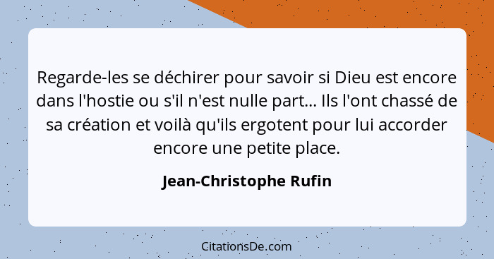 Regarde-les se déchirer pour savoir si Dieu est encore dans l'hostie ou s'il n'est nulle part... Ils l'ont chassé de sa créati... - Jean-Christophe Rufin