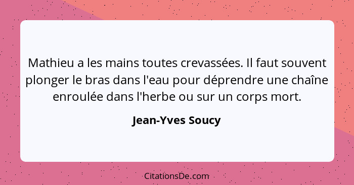 Mathieu a les mains toutes crevassées. Il faut souvent plonger le bras dans l'eau pour déprendre une chaîne enroulée dans l'herbe ou... - Jean-Yves Soucy