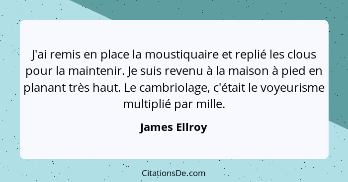 J'ai remis en place la moustiquaire et replié les clous pour la maintenir. Je suis revenu à la maison à pied en planant très haut. Le c... - James Ellroy