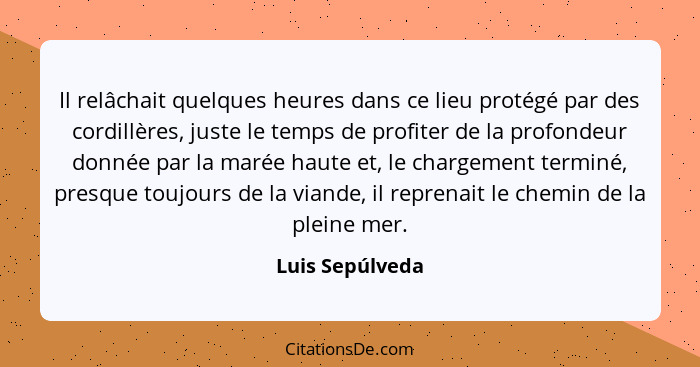 Il relâchait quelques heures dans ce lieu protégé par des cordillères, juste le temps de profiter de la profondeur donnée par la maré... - Luis Sepúlveda