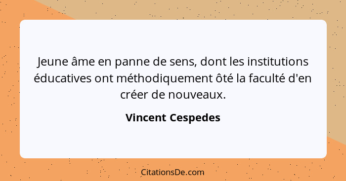 Jeune âme en panne de sens, dont les institutions éducatives ont méthodiquement ôté la faculté d'en créer de nouveaux.... - Vincent Cespedes