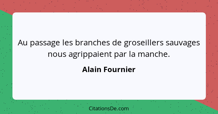 Au passage les branches de groseillers sauvages nous agrippaient par la manche.... - Alain Fournier