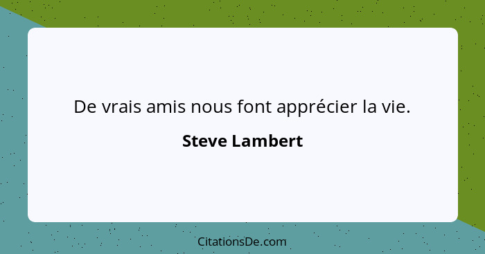 De vrais amis nous font apprécier la vie.... - Steve Lambert