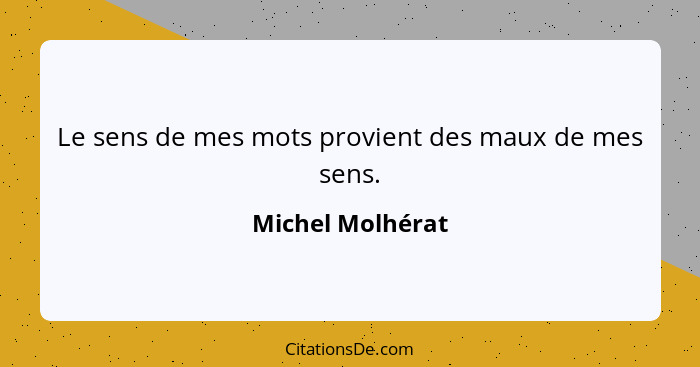 Le sens de mes mots provient des maux de mes sens.... - Michel Molhérat