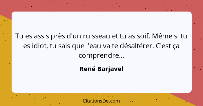 Tu es assis près d'un ruisseau et tu as soif. Même si tu es idiot, tu sais que l'eau va te désaltérer. C'est ça comprendre...... - René Barjavel