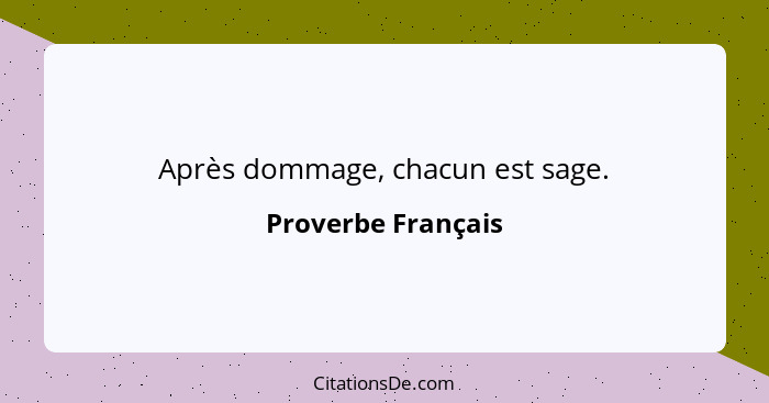 Après dommage, chacun est sage.... - Proverbe Français