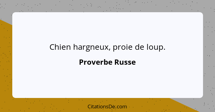 Chien hargneux, proie de loup.... - Proverbe Russe