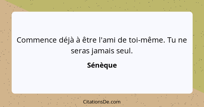 Commence déjà à être l'ami de toi-même. Tu ne seras jamais seul.... - Sénèque