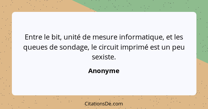 Entre le bit, unité de mesure informatique, et les queues de sondage, le circuit imprimé est un peu sexiste.... - Anonyme