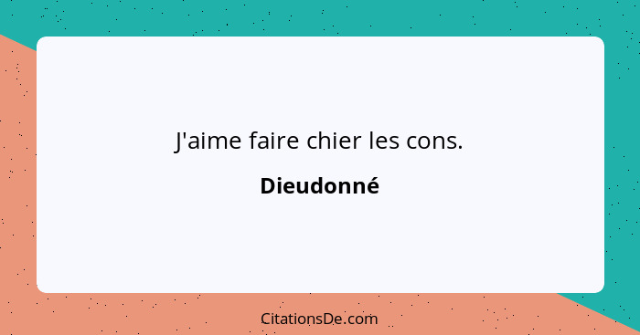 J'aime faire chier les cons.... - Dieudonné