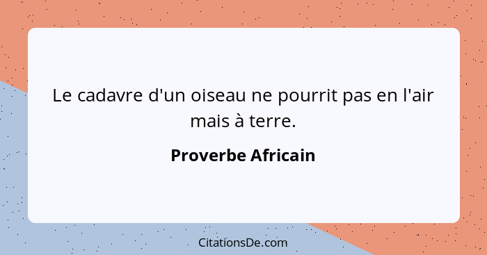 Le cadavre d'un oiseau ne pourrit pas en l'air mais à terre.... - Proverbe Africain