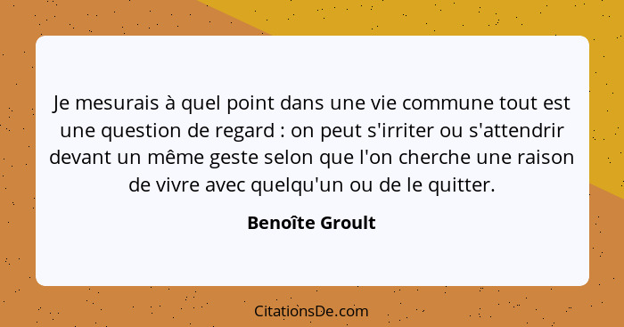 Je mesurais à quel point dans une vie commune tout est une question de regard : on peut s'irriter ou s'attendrir devant un même... - Benoîte Groult