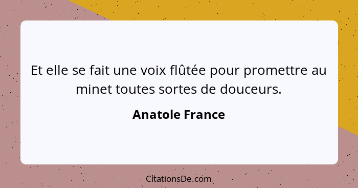 Et elle se fait une voix flûtée pour promettre au minet toutes sortes de douceurs.... - Anatole France