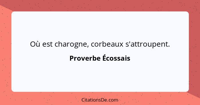 Où est charogne, corbeaux s'attroupent.... - Proverbe Écossais