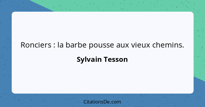 Ronciers : la barbe pousse aux vieux chemins.... - Sylvain Tesson