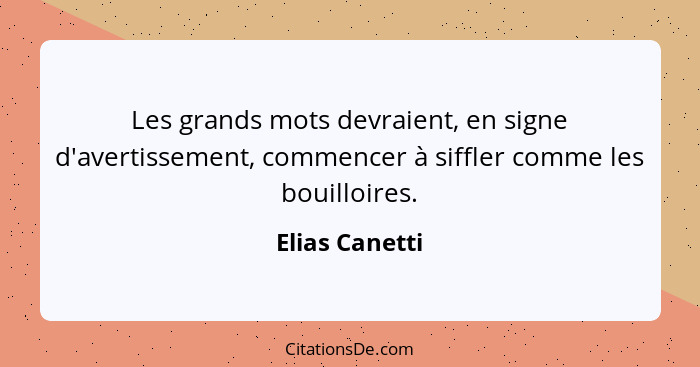 Les grands mots devraient, en signe d'avertissement, commencer à siffler comme les bouilloires.... - Elias Canetti