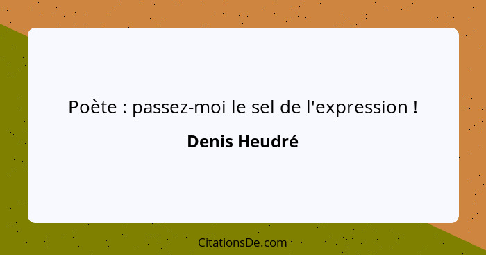 Poète : passez-moi le sel de l'expression !... - Denis Heudré