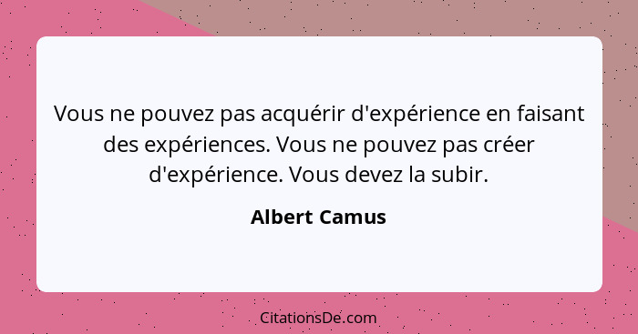 Vous ne pouvez pas acquérir d'expérience en faisant des expériences. Vous ne pouvez pas créer d'expérience. Vous devez la subir.... - Albert Camus