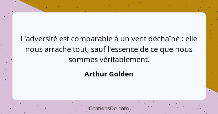 L'adversité est comparable à un vent déchaîné : elle nous arrache tout, sauf l'essence de ce que nous sommes véritablement.... - Arthur Golden