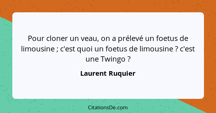 Pour cloner un veau, on a prélevé un foetus de limousine ; c'est quoi un foetus de limousine ? c'est une Twingo ?... - Laurent Ruquier