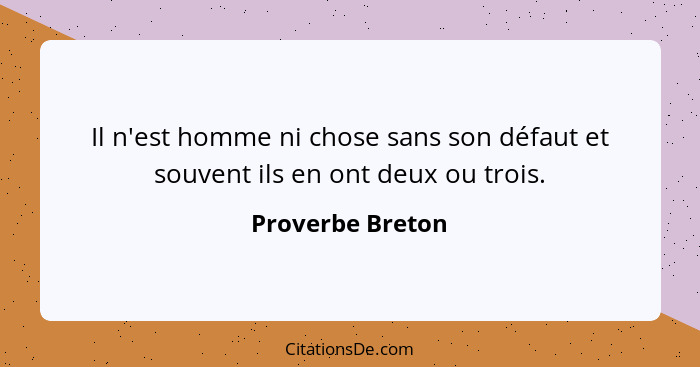 Il n'est homme ni chose sans son défaut et souvent ils en ont deux ou trois.... - Proverbe Breton