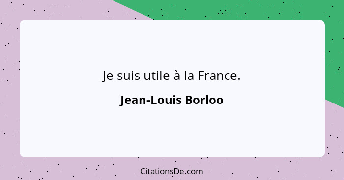 Je suis utile à la France.... - Jean-Louis Borloo