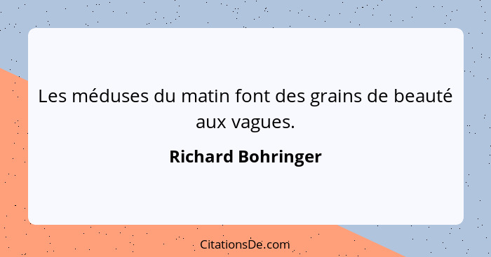 Les méduses du matin font des grains de beauté aux vagues.... - Richard Bohringer