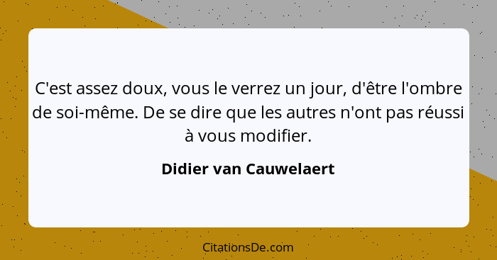 C'est assez doux, vous le verrez un jour, d'être l'ombre de soi-même. De se dire que les autres n'ont pas réussi à vous modifi... - Didier van Cauwelaert