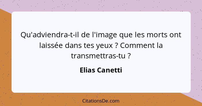 Qu'adviendra-t-il de l'image que les morts ont laissée dans tes yeux ? Comment la transmettras-tu ?... - Elias Canetti