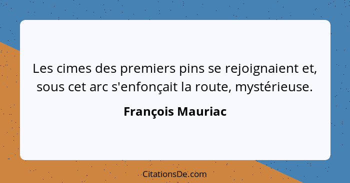 Les cimes des premiers pins se rejoignaient et, sous cet arc s'enfonçait la route, mystérieuse.... - François Mauriac