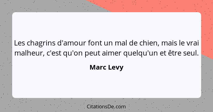 Les chagrins d'amour font un mal de chien, mais le vrai malheur, c'est qu'on peut aimer quelqu'un et être seul.... - Marc Levy