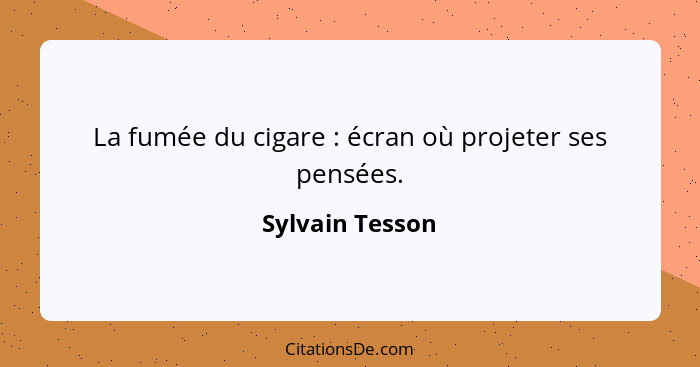 La fumée du cigare : écran où projeter ses pensées.... - Sylvain Tesson
