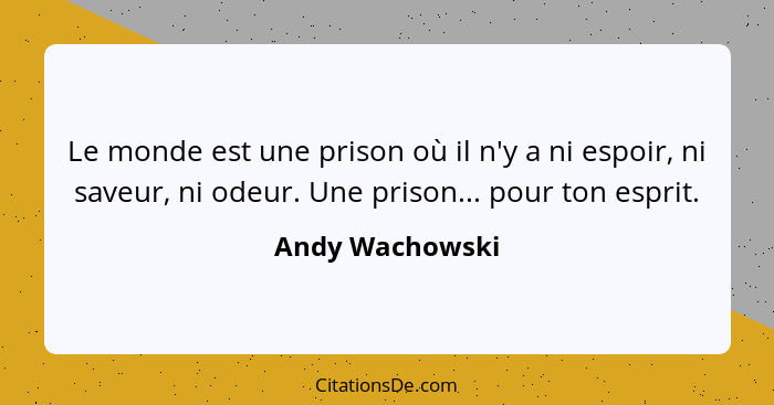 Le monde est une prison où il n'y a ni espoir, ni saveur, ni odeur. Une prison... pour ton esprit.... - Andy Wachowski