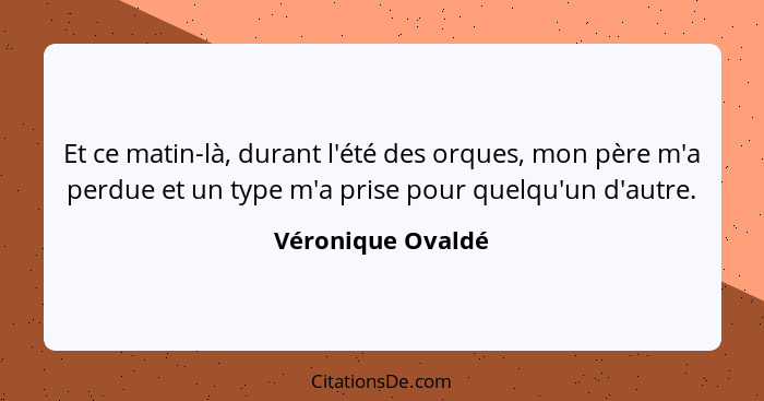 Et ce matin-là, durant l'été des orques, mon père m'a perdue et un type m'a prise pour quelqu'un d'autre.... - Véronique Ovaldé