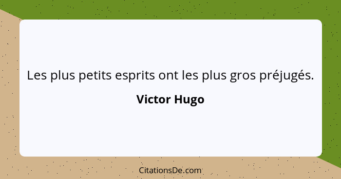 Les plus petits esprits ont les plus gros préjugés.... - Victor Hugo