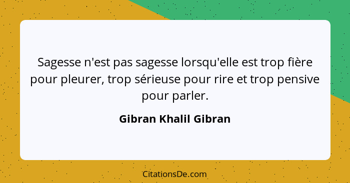 Sagesse n'est pas sagesse lorsqu'elle est trop fière pour pleurer, trop sérieuse pour rire et trop pensive pour parler.... - Gibran Khalil Gibran