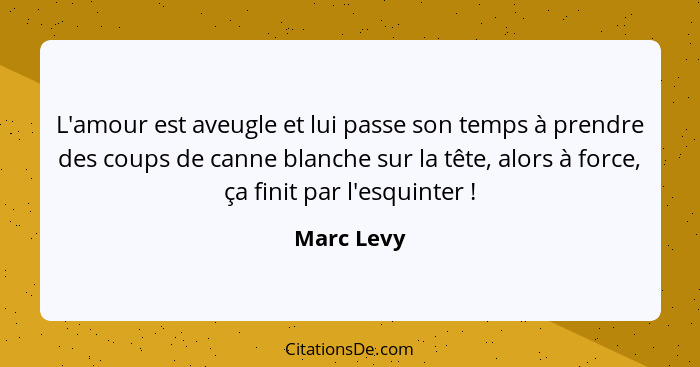 L'amour est aveugle et lui passe son temps à prendre des coups de canne blanche sur la tête, alors à force, ça finit par l'esquinter ... - Marc Levy