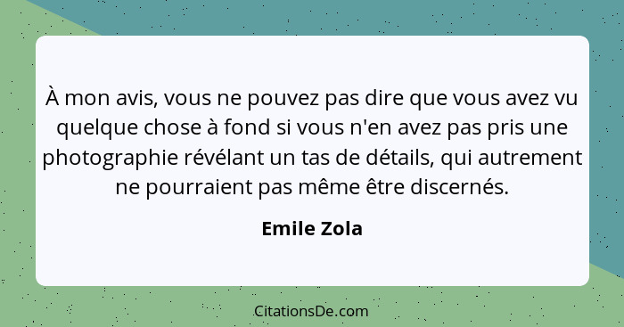 À mon avis, vous ne pouvez pas dire que vous avez vu quelque chose à fond si vous n'en avez pas pris une photographie révélant un tas de... - Emile Zola