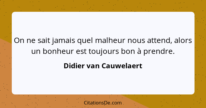 On ne sait jamais quel malheur nous attend, alors un bonheur est toujours bon à prendre.... - Didier van Cauwelaert