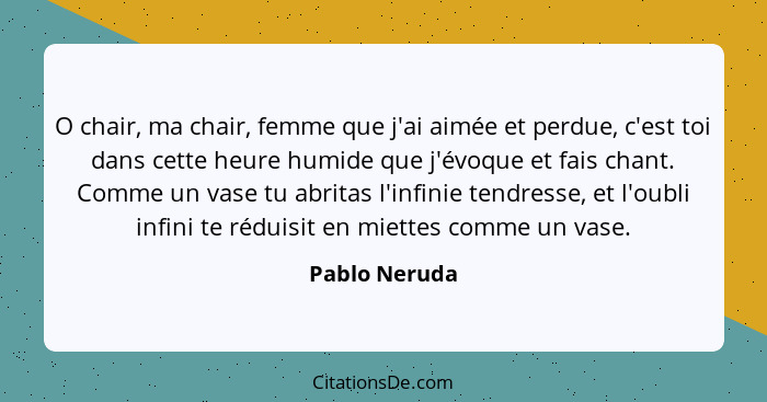 O chair, ma chair, femme que j'ai aimée et perdue, c'est toi dans cette heure humide que j'évoque et fais chant. Comme un vase tu abrit... - Pablo Neruda