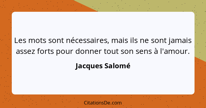 Les mots sont nécessaires, mais ils ne sont jamais assez forts pour donner tout son sens à l'amour.... - Jacques Salomé