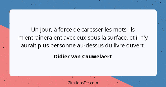 Un jour, à force de caresser les mots, ils m'entraîneraient avec eux sous la surface, et il n'y aurait plus personne au-dessus... - Didier van Cauwelaert