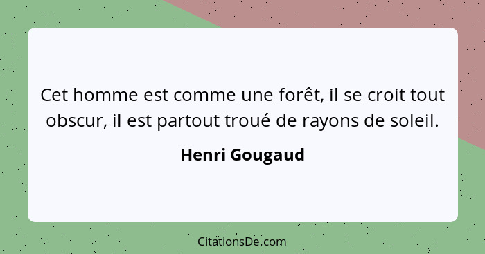 Cet homme est comme une forêt, il se croit tout obscur, il est partout troué de rayons de soleil.... - Henri Gougaud